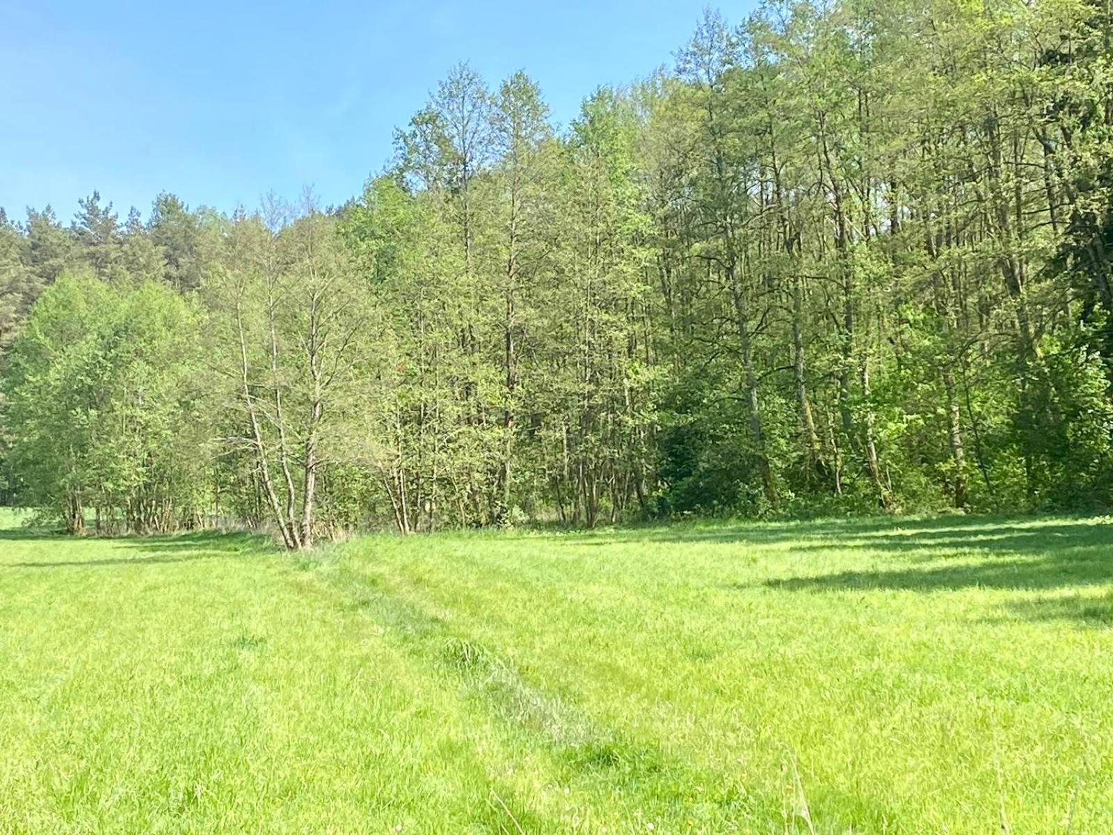 Zielona Mila Appartement Sępólno Krajeńskie Buitenkant foto